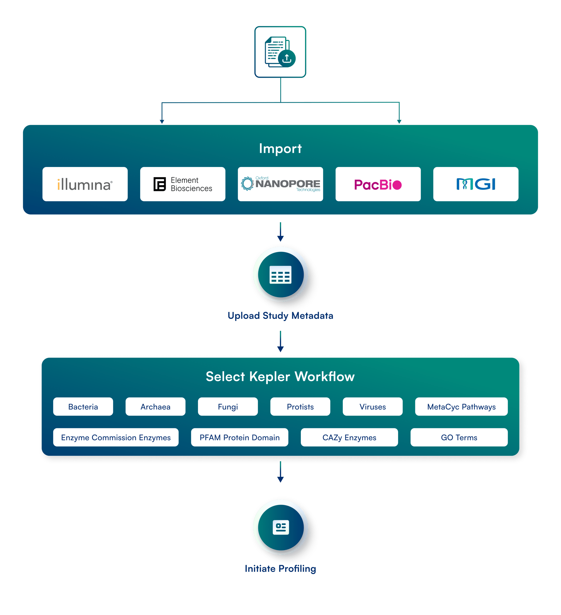 ITS Workflow Infographic-1-1