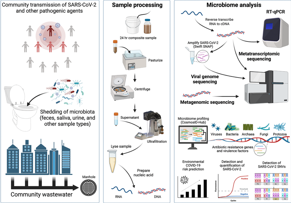 Screenshot 2026-02-06 164339