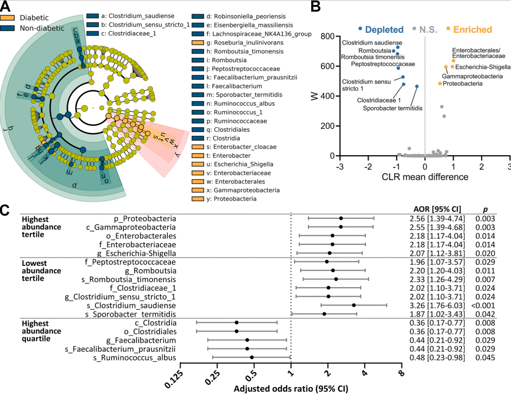 Screenshot 2026-02-06 164433