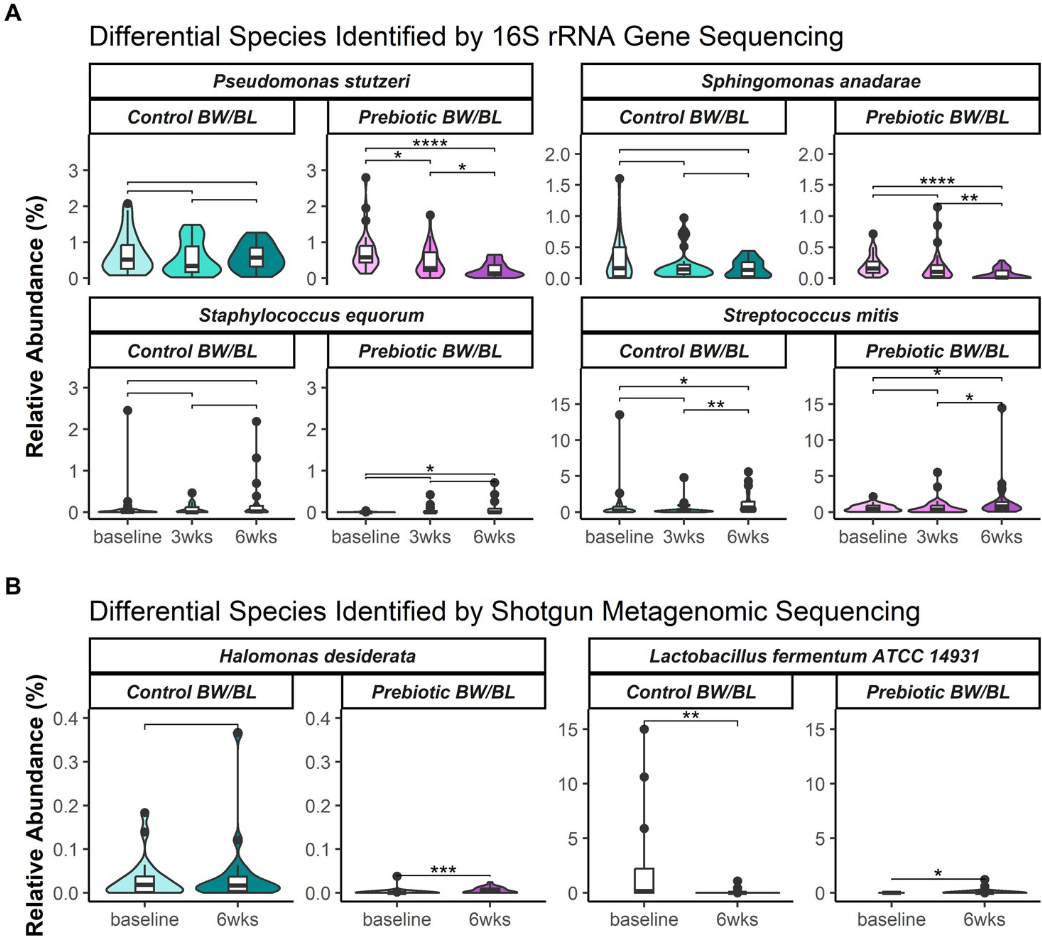 Screenshot 2026-02-16 150239