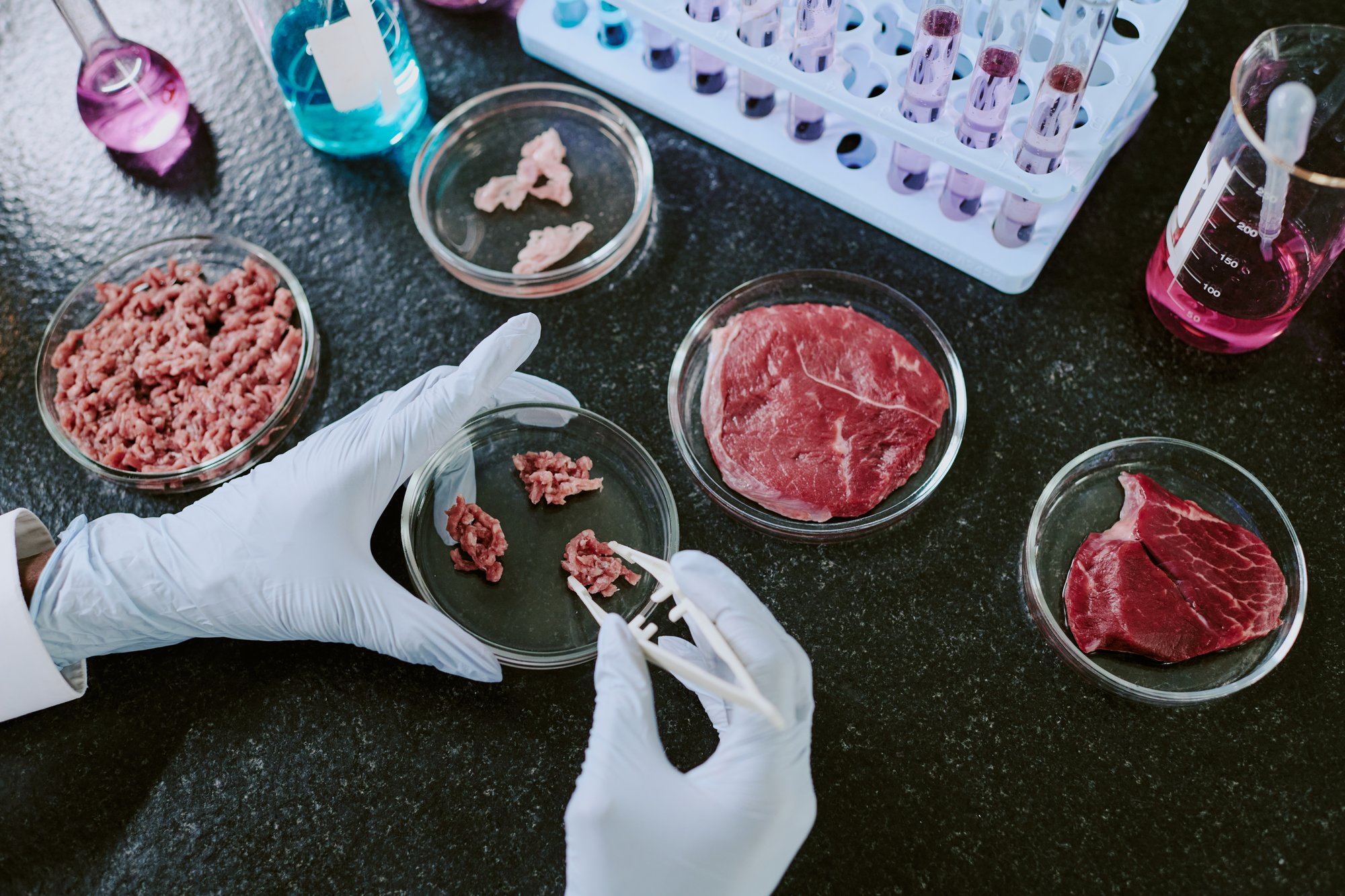 scientist-laboratory-conducting-tests-meat-samples-using-petri-dishes-tweezers-samples