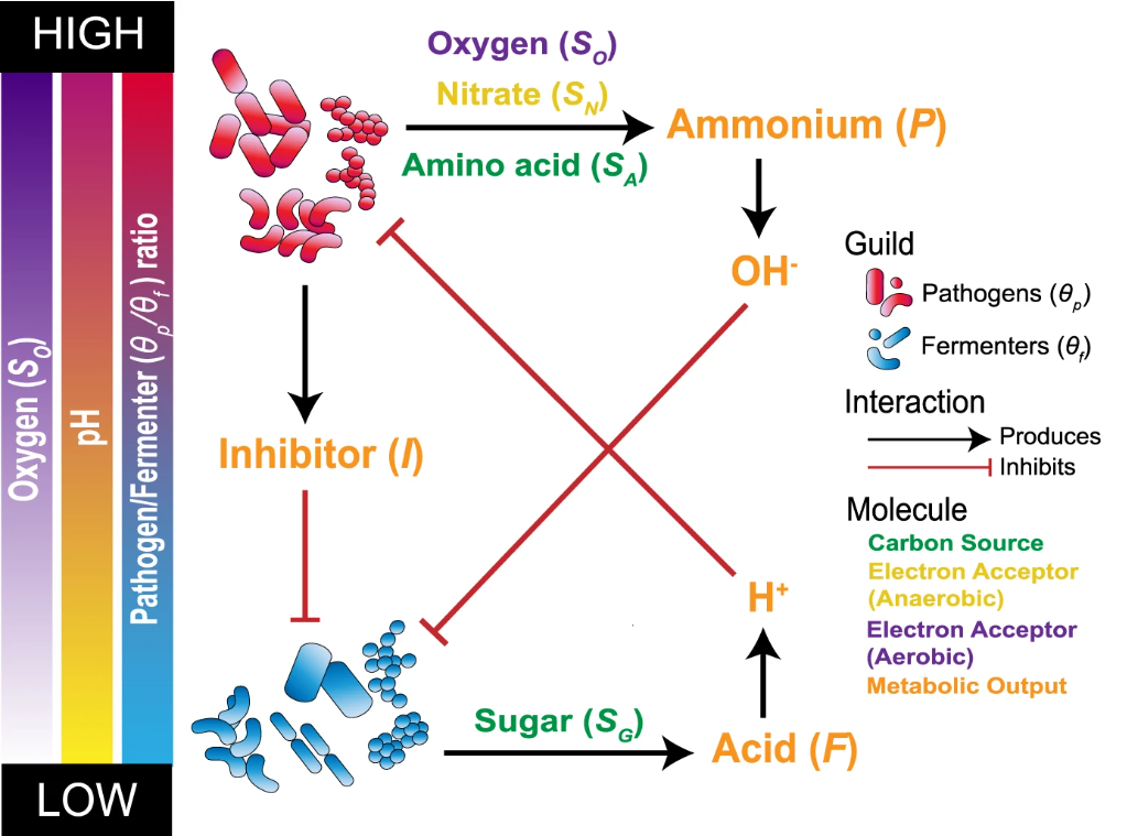 Screenshot 2026-02-06 163147