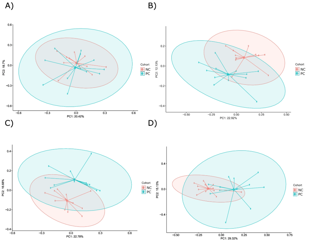 Screenshot 2026-02-16 150006